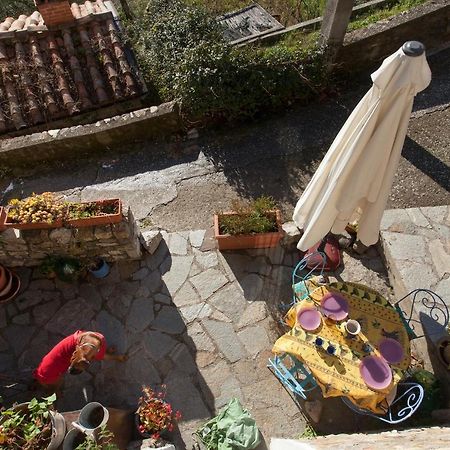 Chezcatherine Villa Sarzana Buitenkant foto