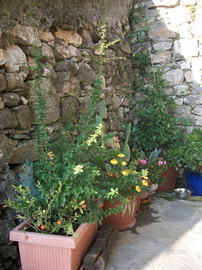 Chezcatherine Villa Sarzana Buitenkant foto